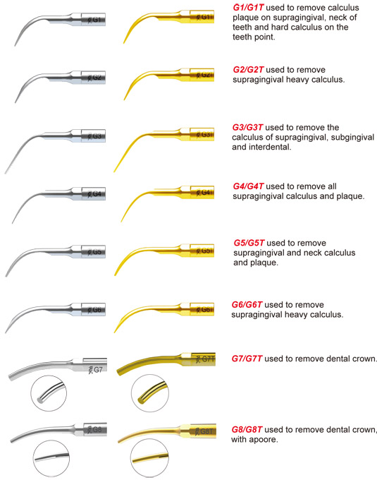 10Pcs Dental Ultrasonic Piezo Scaler Tip G1